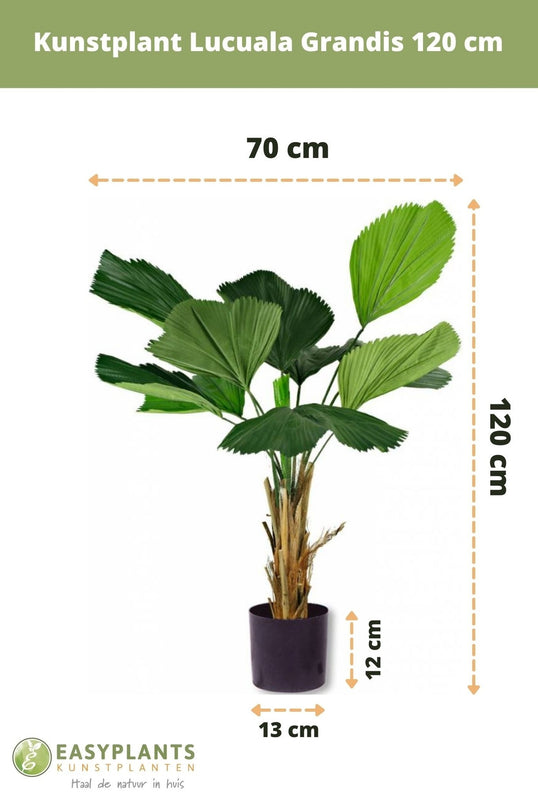Plante artificielle Lucuala Grandis 120 cm
