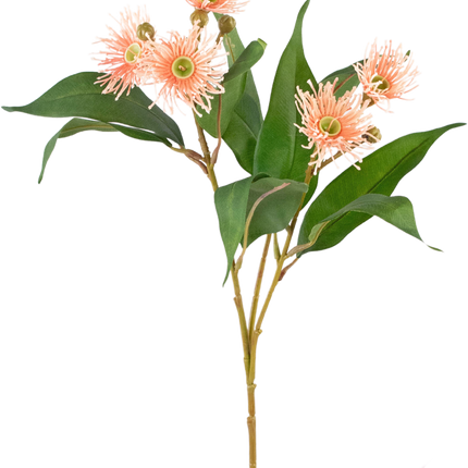 Branche artificielle Eucalyptus fleuri rose ancien 62 cm