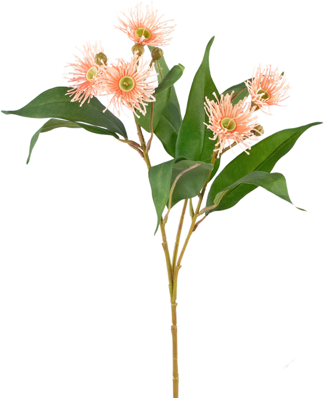 Branche artificielle Eucalyptus fleuri rose ancien 62 cm