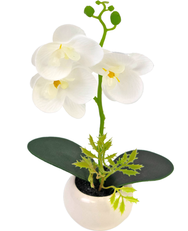 Orchidée artificielle 28 cm blanche dans un pot