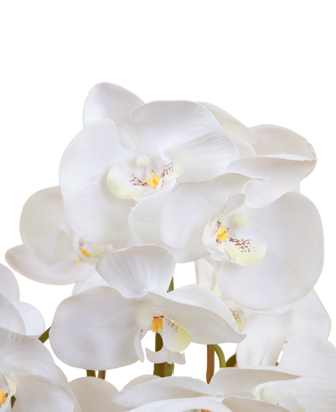 Orchidée artificielle 72 cm blanche dans un pot en or