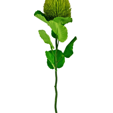 Fleur artificielle Banksia vert 59 cm