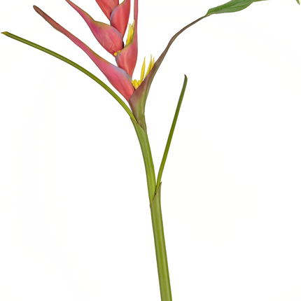 Fleur artificielle Heliconia 90 cm fuchsia