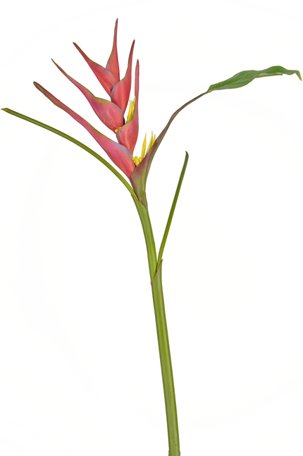Fleur artificielle Heliconia 90 cm fuchsia