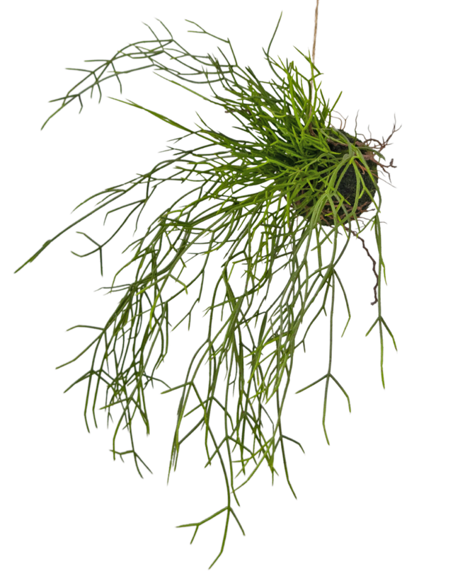 Plante artificielle suspendue Grass on ball 48 cm