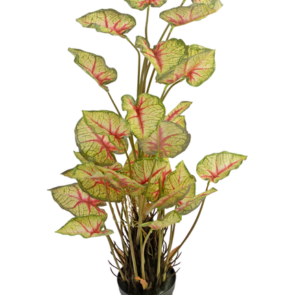 Plante artificielle Caladium 90 cm rouge