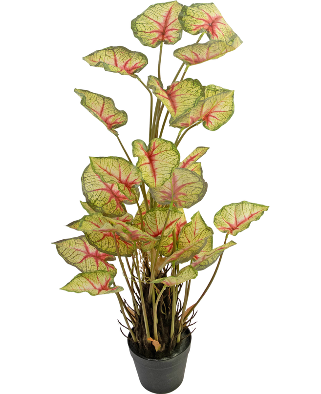 Plante artificielle Caladium 90 cm rouge