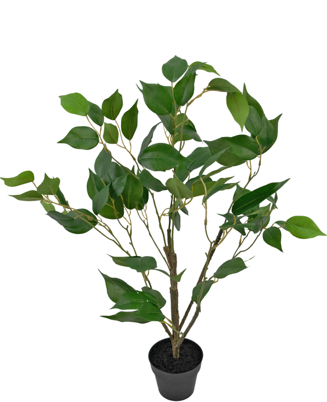 Plante artificielle Ficus 60 cm