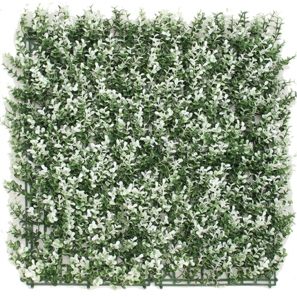 Mur végétal artificiel Buis blanc 50x50 cm UV