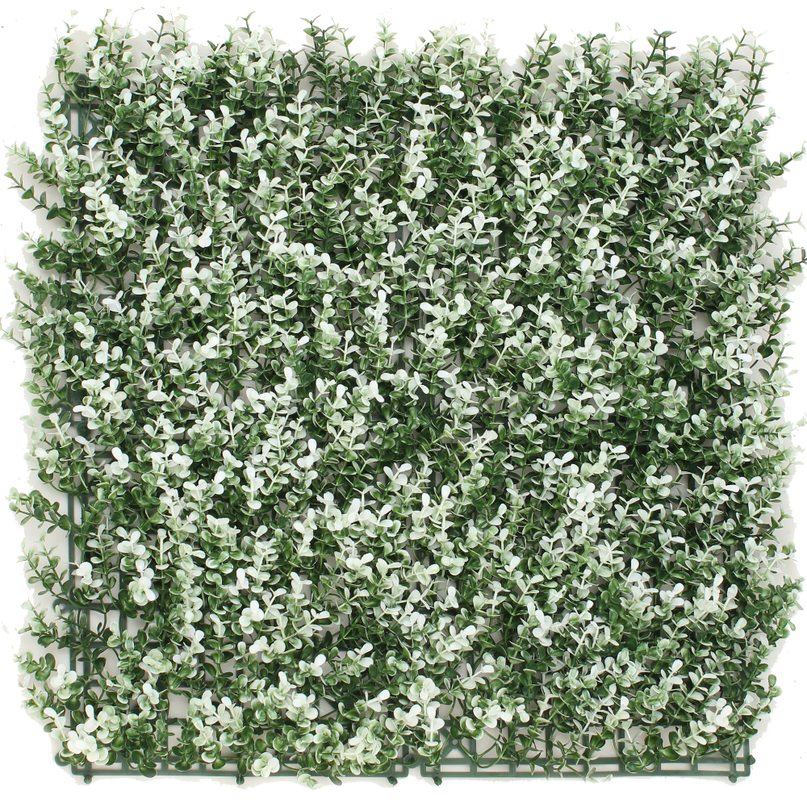Haie artificielle Buxus blanc 50x50 cm UV