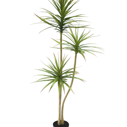 Plante artificielle Dracaena Fragnans 150 cm