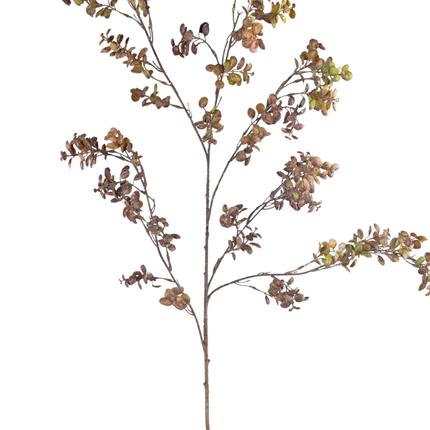 Branche artificielle Eucalyptus berry marron 105 cm