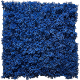 Mur végétal artificiel Mousse bleue résistante au feu 50x50cm