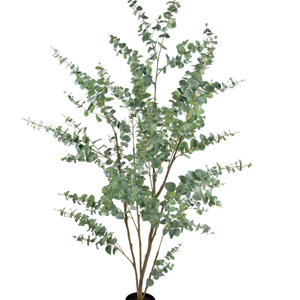 Plante artificielle Eucalyptus 210 cm