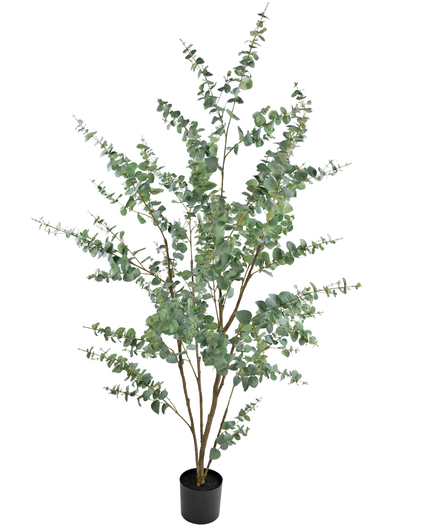 Plante artificielle Eucalyptus 210 cm