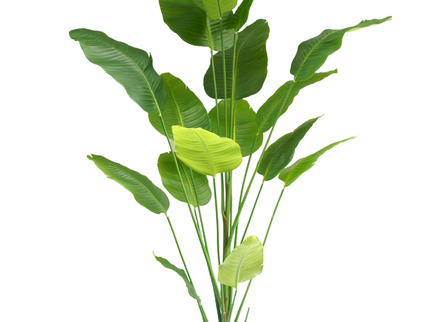 Plante artificielle Strelitzia 210 cm real touch