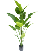 Plante artificielle Strelitzia 210 cm real touch