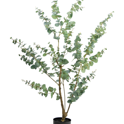 Plante artificielle Eucalyptus 150 cm