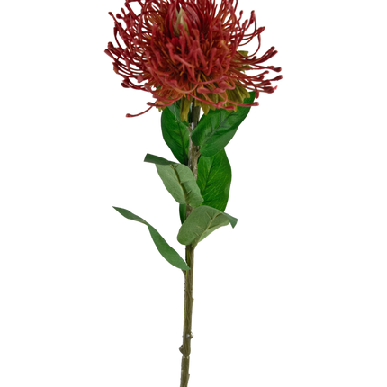 Fleur artificielle Protea 73 cm rouge