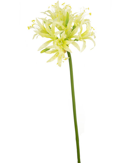 Fleur artificielle Nerine 70 cm verte