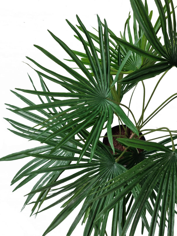 Plante artificielle Baby Palm Fan en pot 50 cm