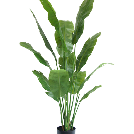 Plante artificielle Strelitzia Nicolai Deluxe 170 cm