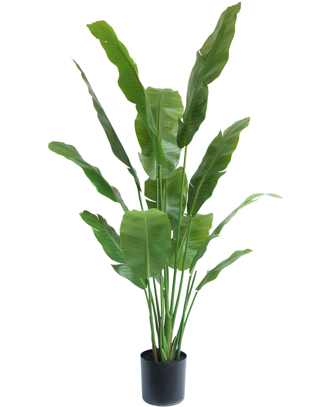 Plante artificielle Strelitzia Nicolai Deluxe 170 cm
