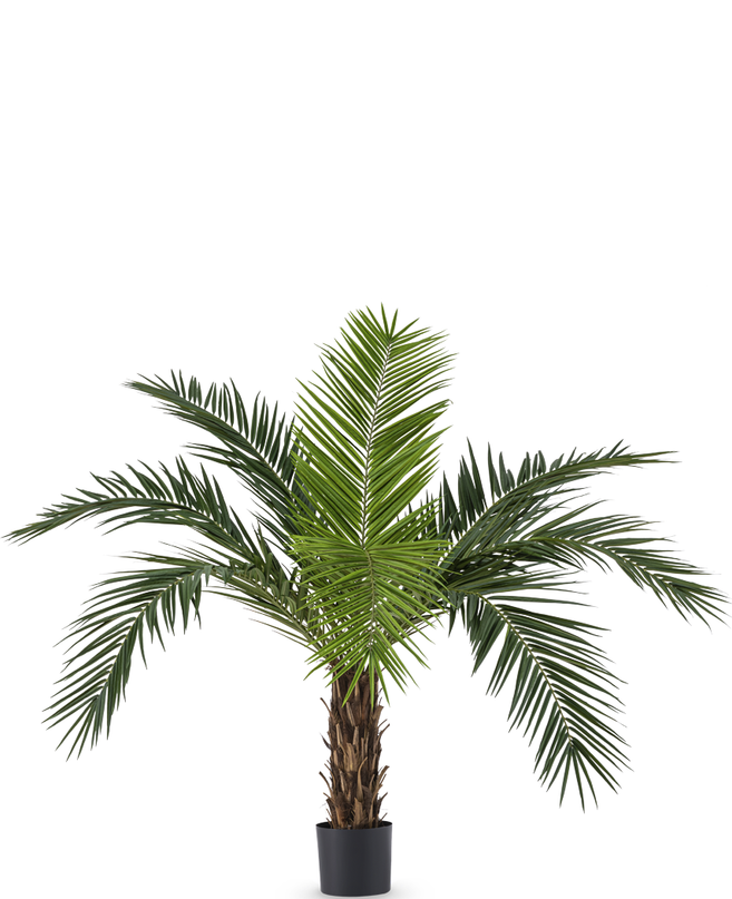 Palmier artificiel Phoenix Canary 160 cm