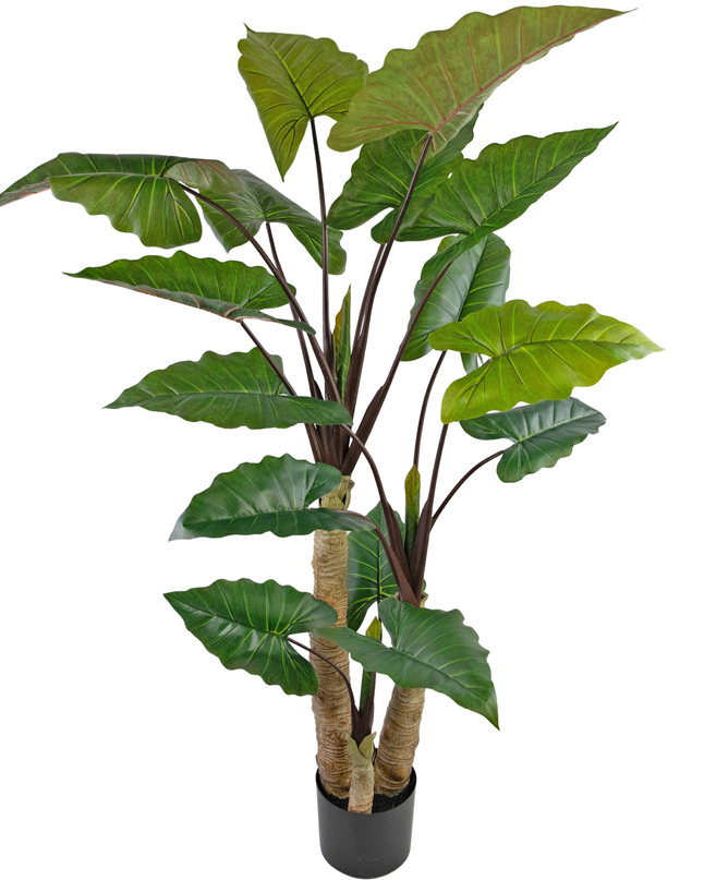 Plante artificielle Alocasia 210 cm
