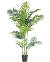 Plante artificielle Phoenix 170 cm