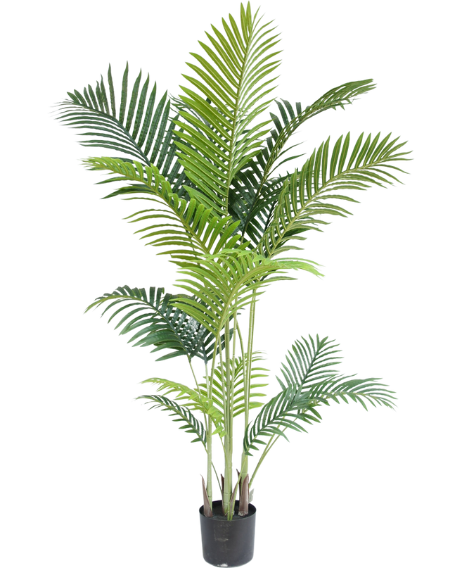 Plante artificielle Phoenix 170 cm