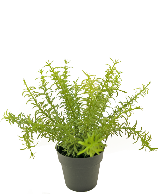 Plante artificielle Anthurium 27 cm