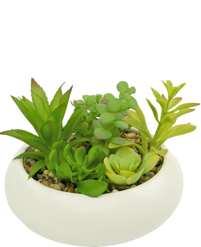 Succulentes artificielles jardin 18 cm dans un pot ornemental