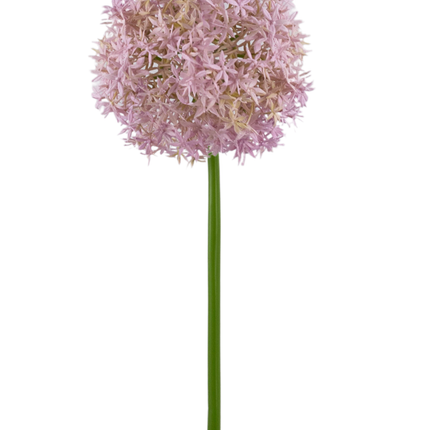 Fleur artificielle Allium Large violet 80 cm