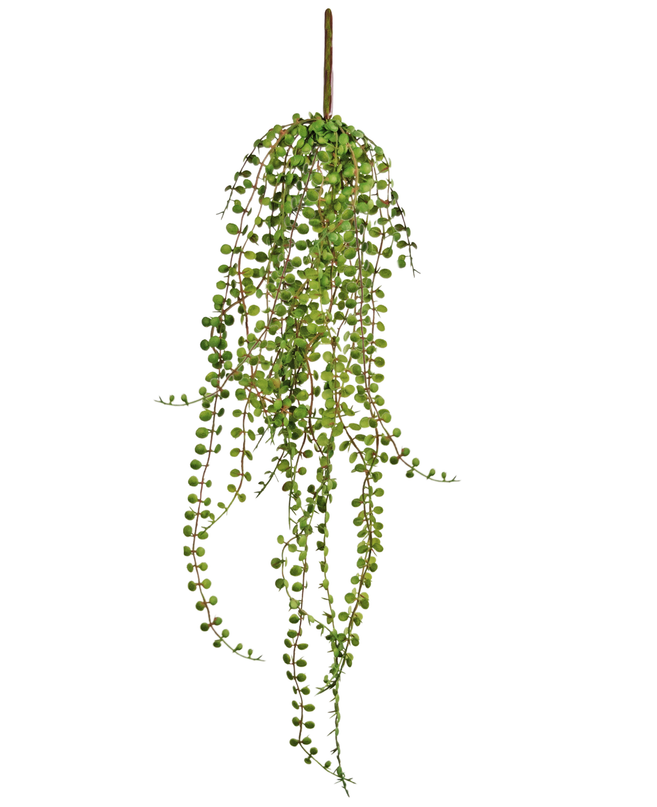 Succulente artificielle tombante 71 cm