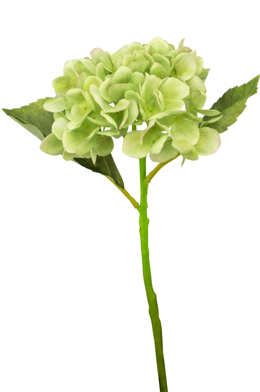 Hortensia artificiel Deluxe 33 cm vert