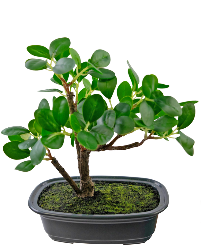 Plante artificielle Bonsai Ficus 20 cm