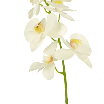 Fleur artificielle Orchidée 84 cm blanc