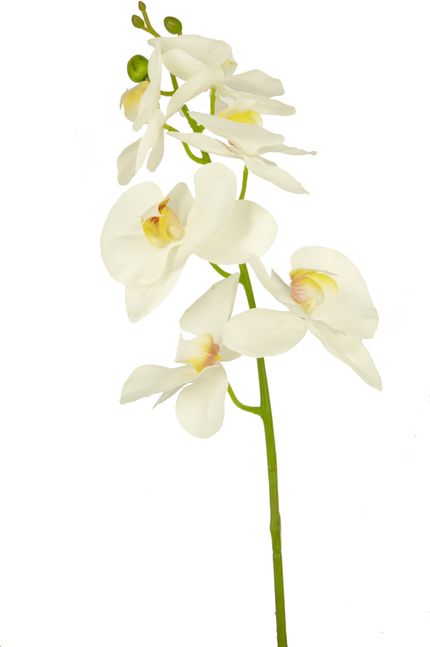 Fleur artificielle Orchidée 84 cm blanc
