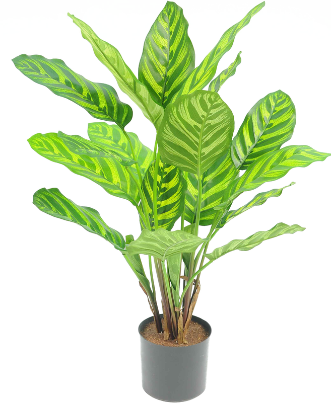 Plante artificielle Calathea Makoyana 55 cm