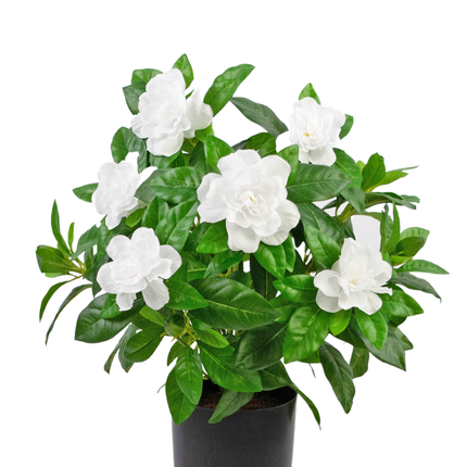 Plante artificielle Gardenia 39 cm blanc