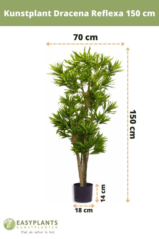 Plante artificielle Dracena Reflexa 150 cm