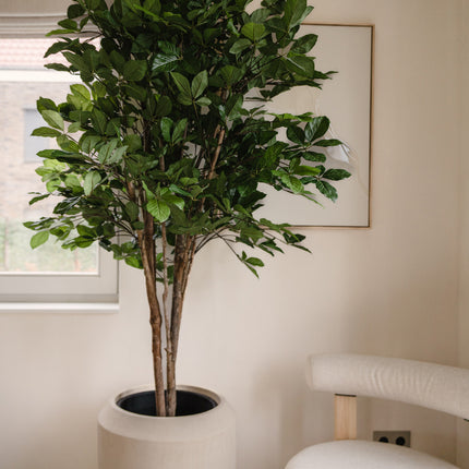 Plante artificielle Ficus Green 210 cm