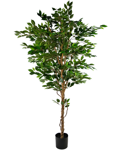 Plante artificielle Ficus Green 210 cm