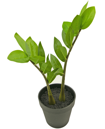 Plante artificielle Zamioculcas 35 cm