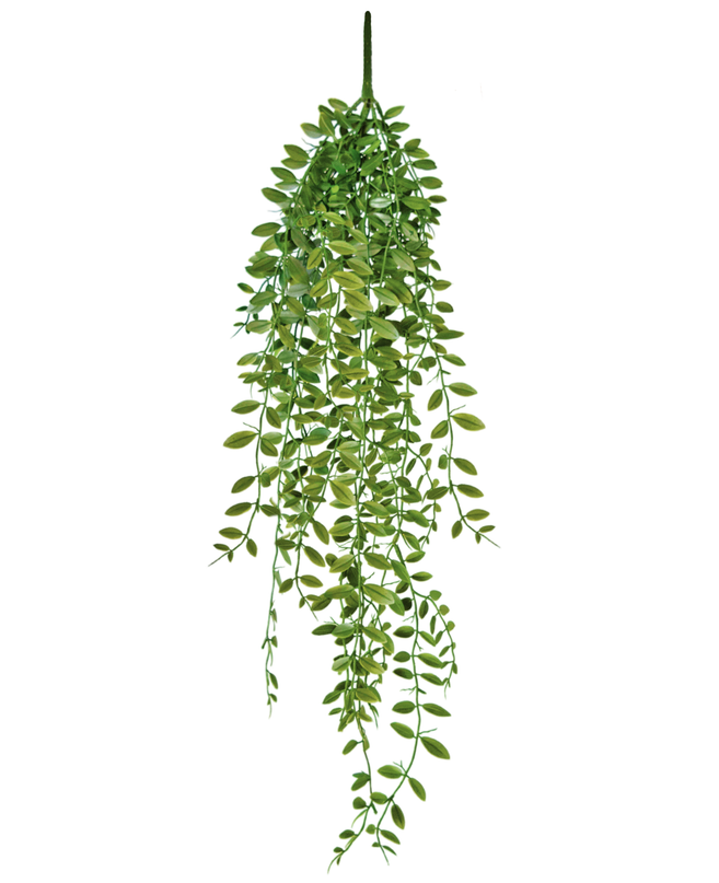 Succulente artificielle tombante 76 cm