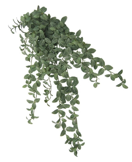 Fittonia artificiel vert/blanc 90 cm