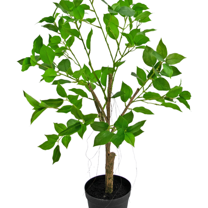 Plante artificielle Ficus Henryi 60 cm