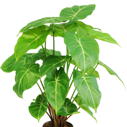 Plante artificielle Syngonium 58 cm