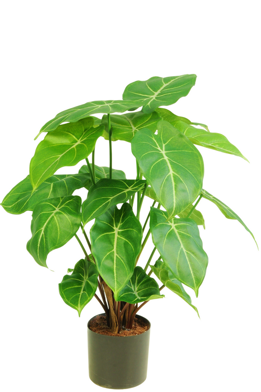 Plante artificielle Syngonium 58 cm